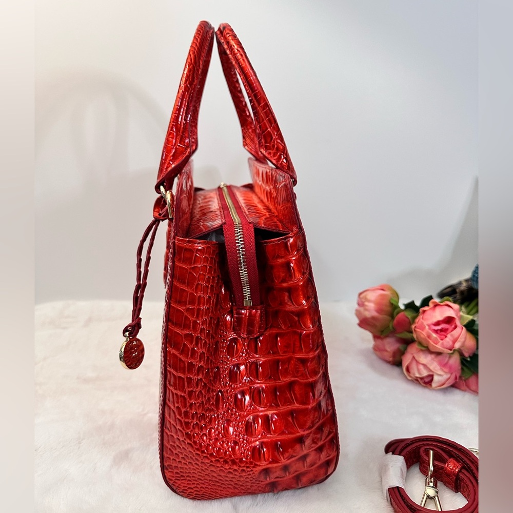 Brahmin small Finley embrace Melbourne - Picture 5 of 12